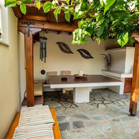 Amaryllis * Agios Spyridon (Phocis)