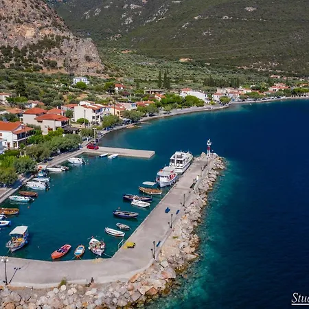 Amaryllis * Agios Spyridon (Phocis)