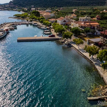 Amaryllis * Agios Spyridon (Phocis)
