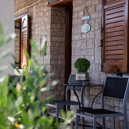 Amaryllis Agios Spyridon (Phocis)